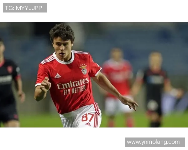 基米希：从天才少年到足坛巨星的华丽蜕变与未来展望