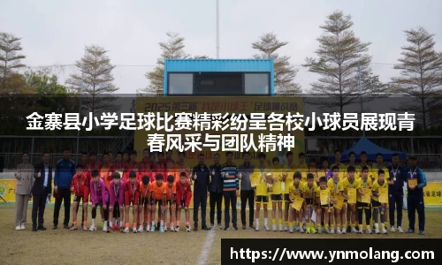 金寨县小学足球比赛精彩纷呈各校小球员展现青春风采与团队精神