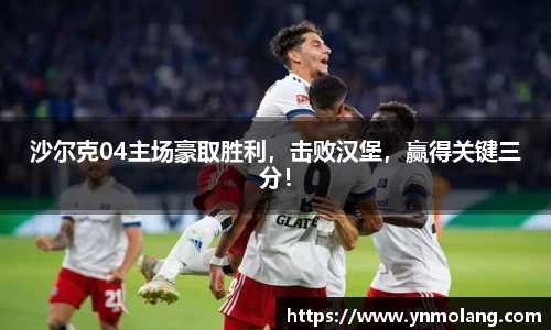 沙尔克04主场豪取胜利，击败汉堡，赢得关键三分！