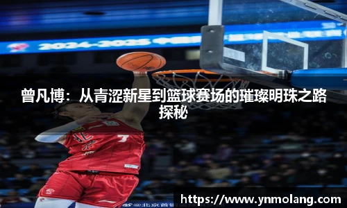 曾凡博：从青涩新星到篮球赛场的璀璨明珠之路探秘