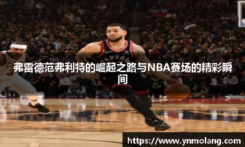 弗雷德范弗利特的崛起之路与NBA赛场的精彩瞬间