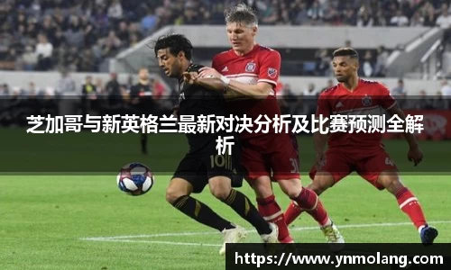 芝加哥与新英格兰最新对决分析及比赛预测全解析