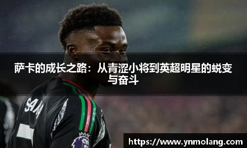威廉希尔WilliamHill