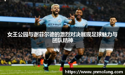 女王公园与谢菲尔德的激烈对决展现足球魅力与团队精神