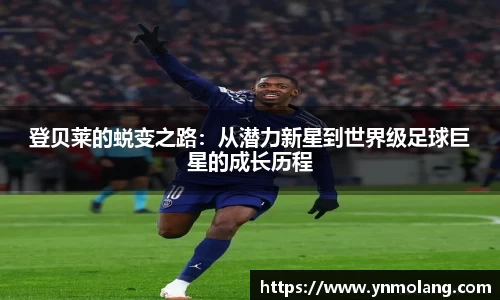 威廉希尔体育