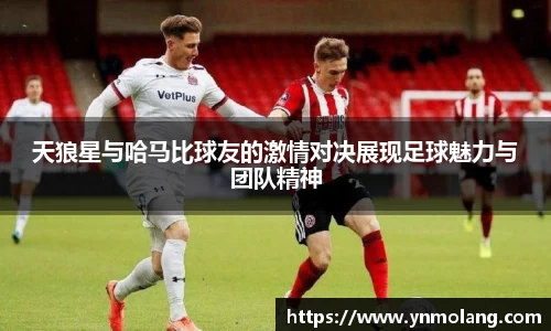 威廉希尔体育