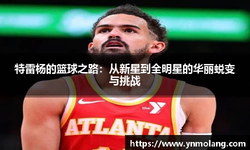 特雷杨的篮球之路：从新星到全明星的华丽蜕变与挑战