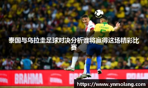 威廉希尔体育